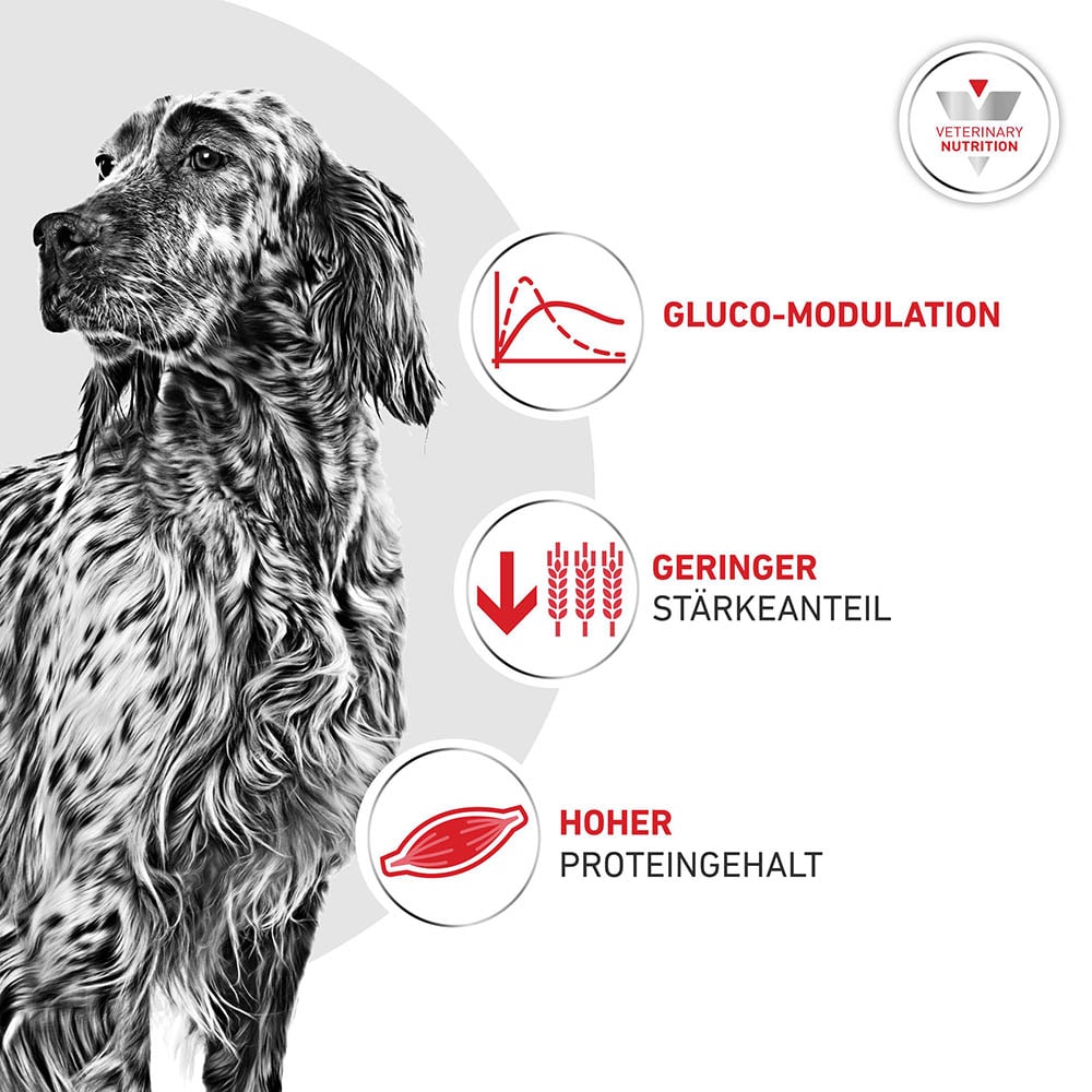 Royal Canin Veterinary Glycobalance Trockenfutter für Hunde_3