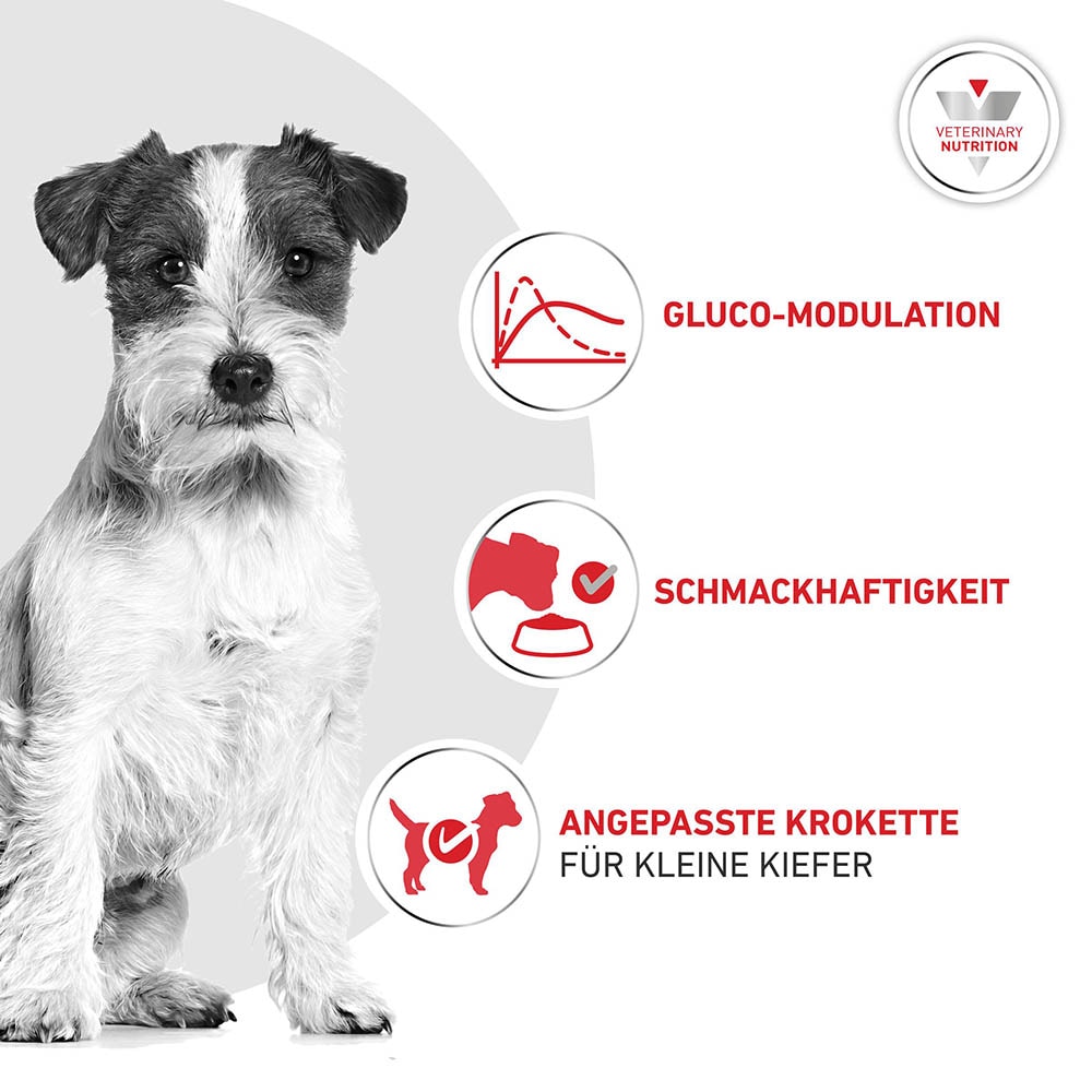 Royal Canin Veterinary Glycobalance Small Dog Trockenfutter für Hunde_2