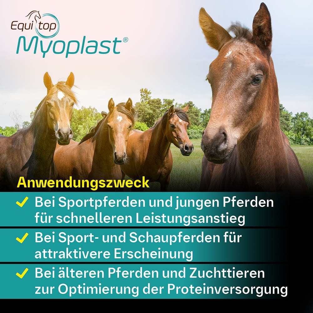 Boehringer Ingelheim Equitop Myoplast Granulat_5