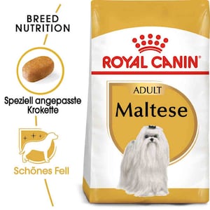 Royal Canin Maltese Adult Hundefutter trocken | Tierarzt24.de