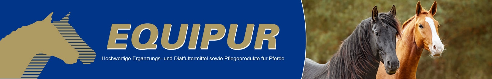 Equipur