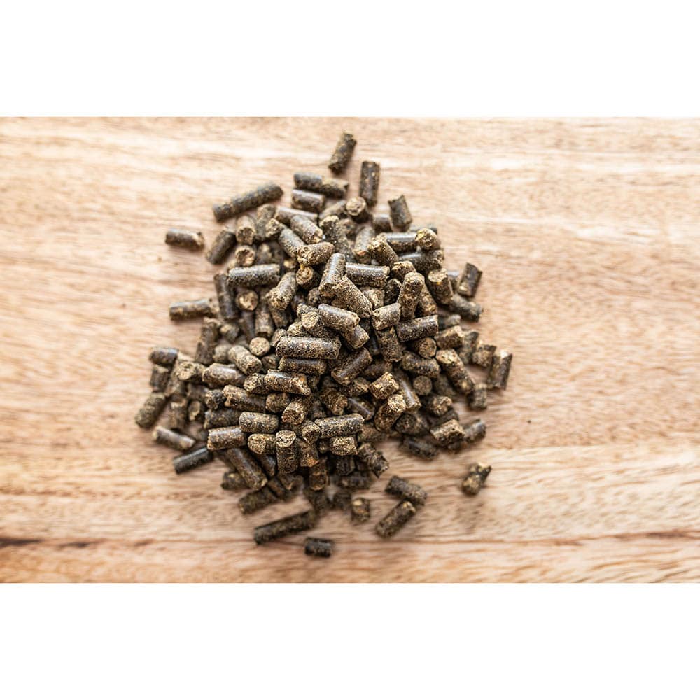 St. Hippolyt Makor_1