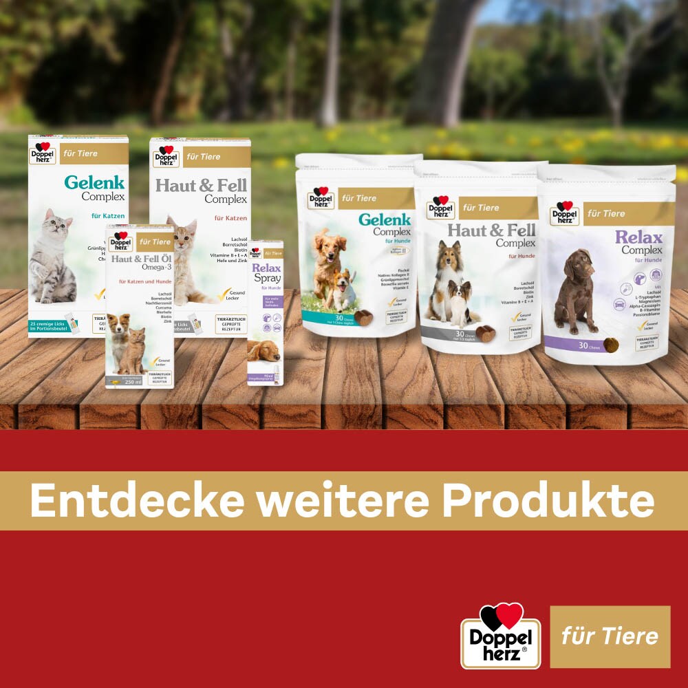 Doppelherz Haut und Fell Öl für Hunde und Katzen _9