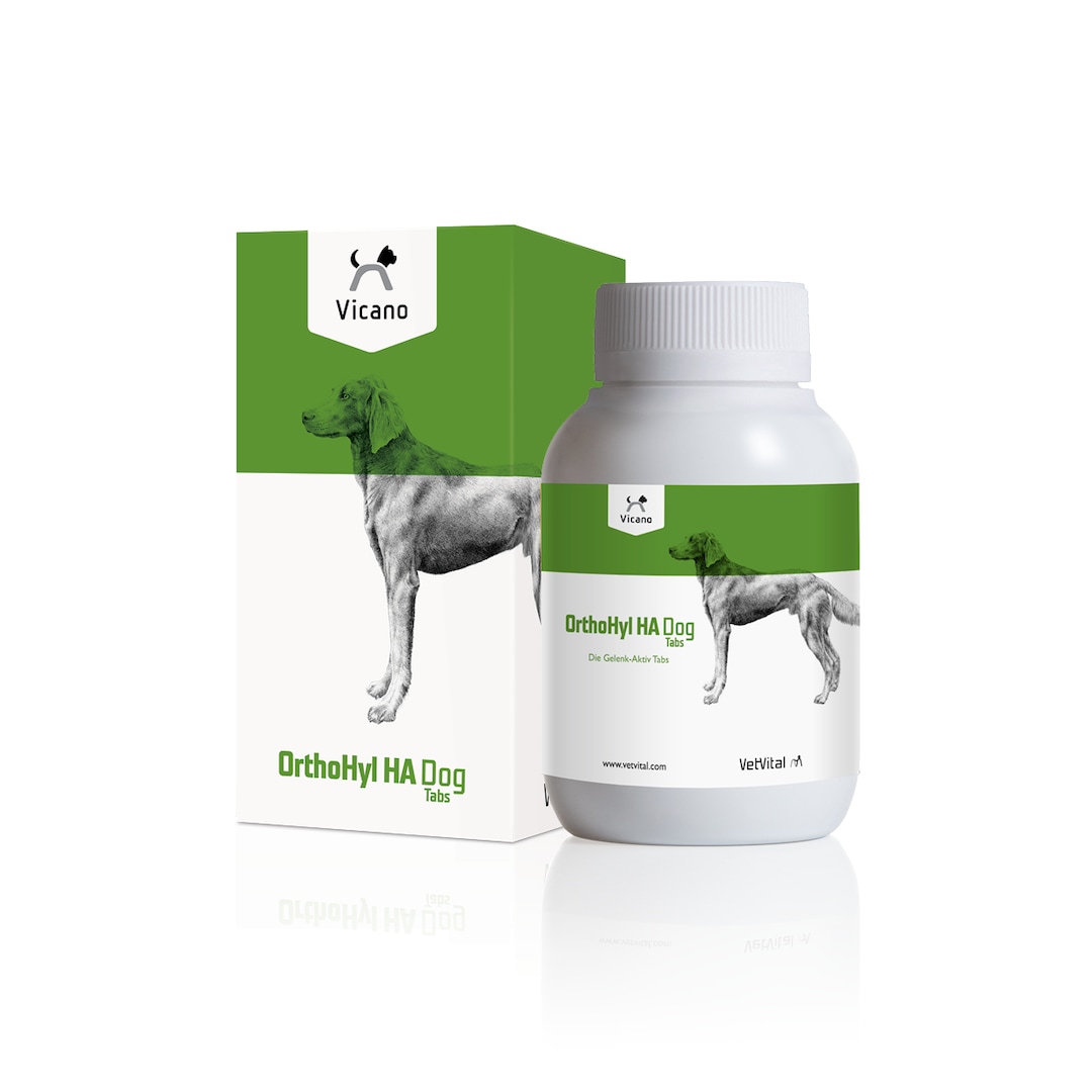 VetVital Vicano OrthoHyl HA Dog_0