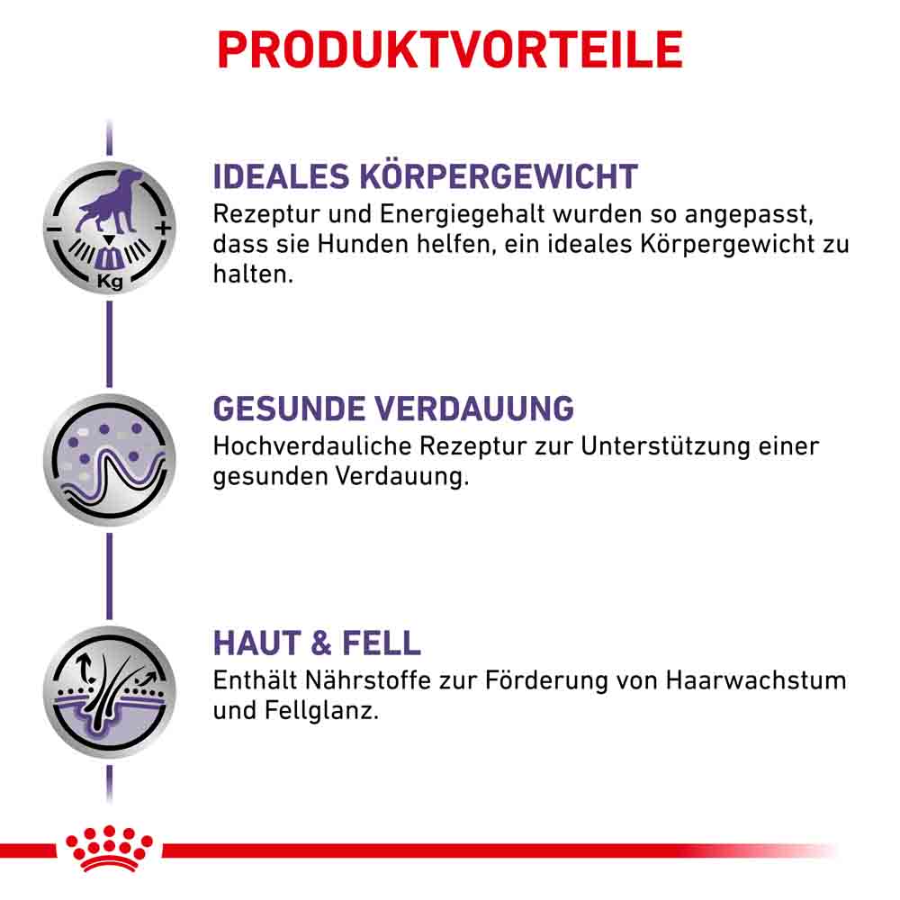 Royal Canin Expert Neutered Adult Nassfutter für Hunde_2