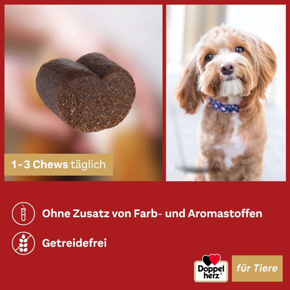 Doppelherz Haut und Fell Complex für Hunde_7