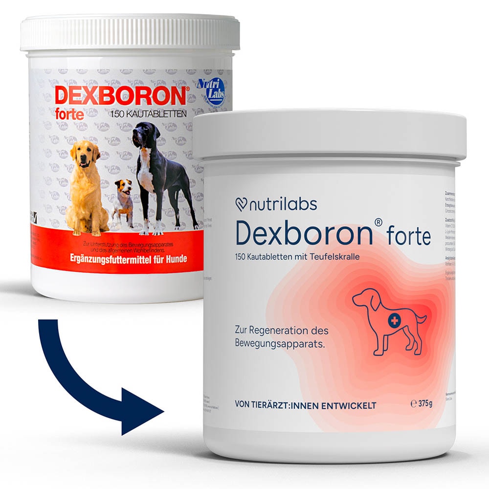 NutriLabs Dexboron forte Kautabletten_1