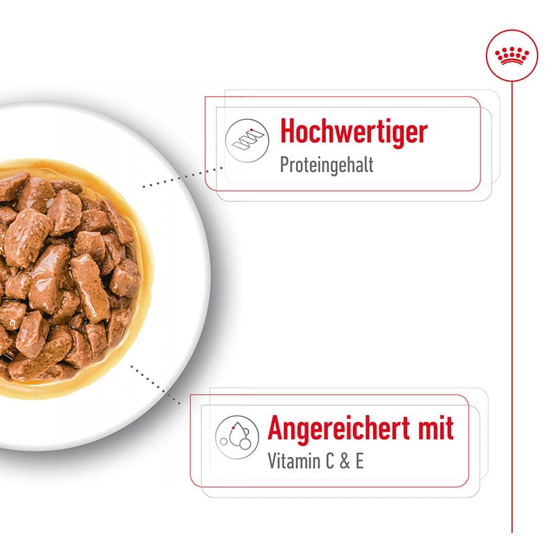 Royal Canin Medium Adult Feuchtnahrung als Stückchen in Soße (>12. Lebensmonat)_2