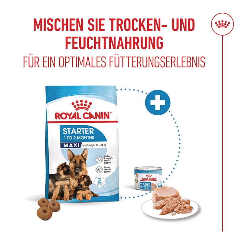 Royal Canin Maxi Starter für tragende Hündin und Welpen großer Rassen_4