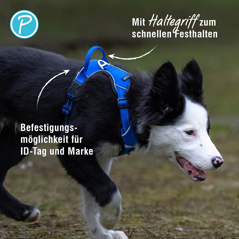 Petlando Outdoor Geschirr navy_5