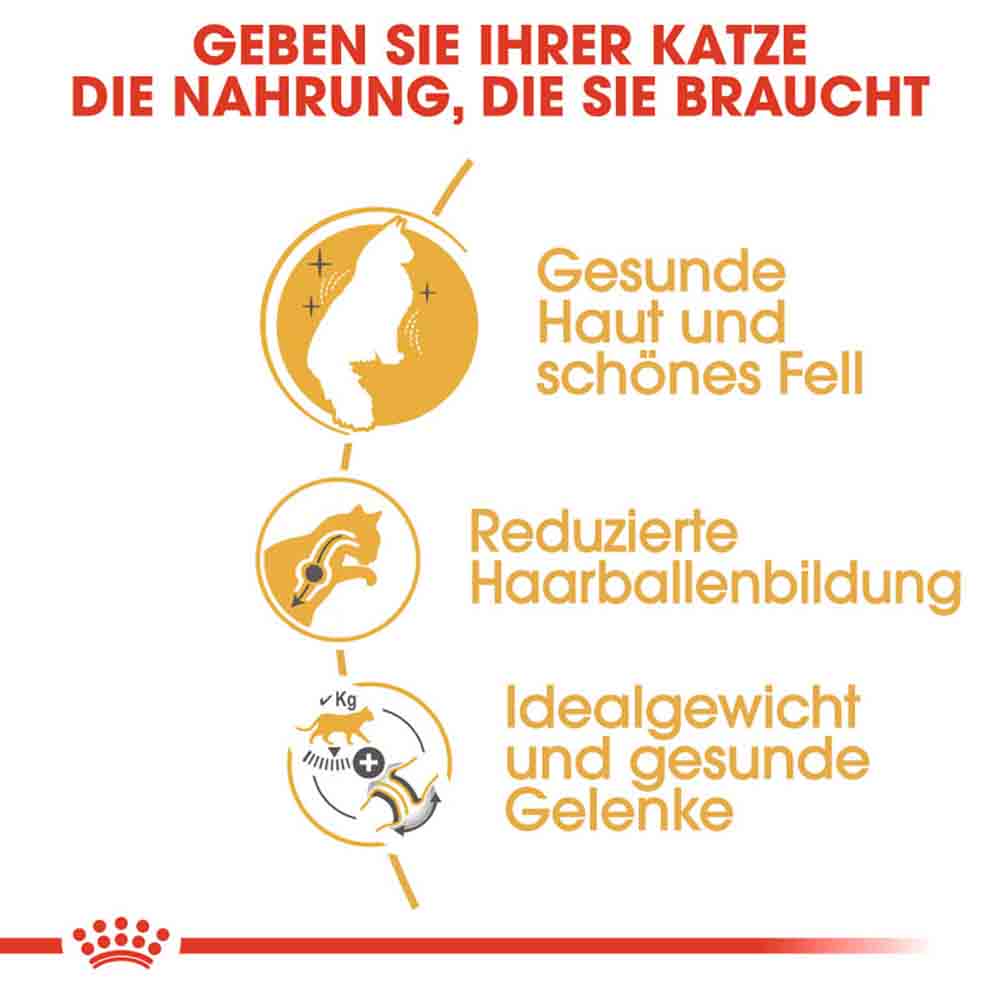 Royal Canin Norwegian Forest Cat Adult Trockenfutter für Norwegische Waldkatzen_3