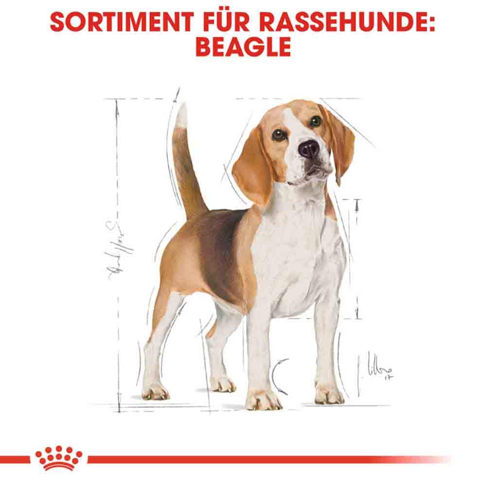 Royal Canin Beagle Adult Hundefutter trocken_2
