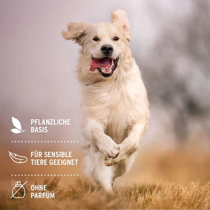 AniForte Ohren-Reinigungspads_5