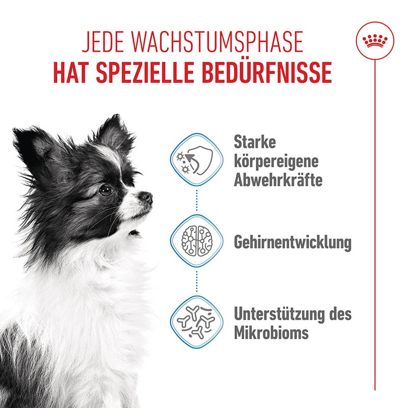Royal Canin X-Small Puppy Trockenfutter für Welpen kleiner Hunderassen_1