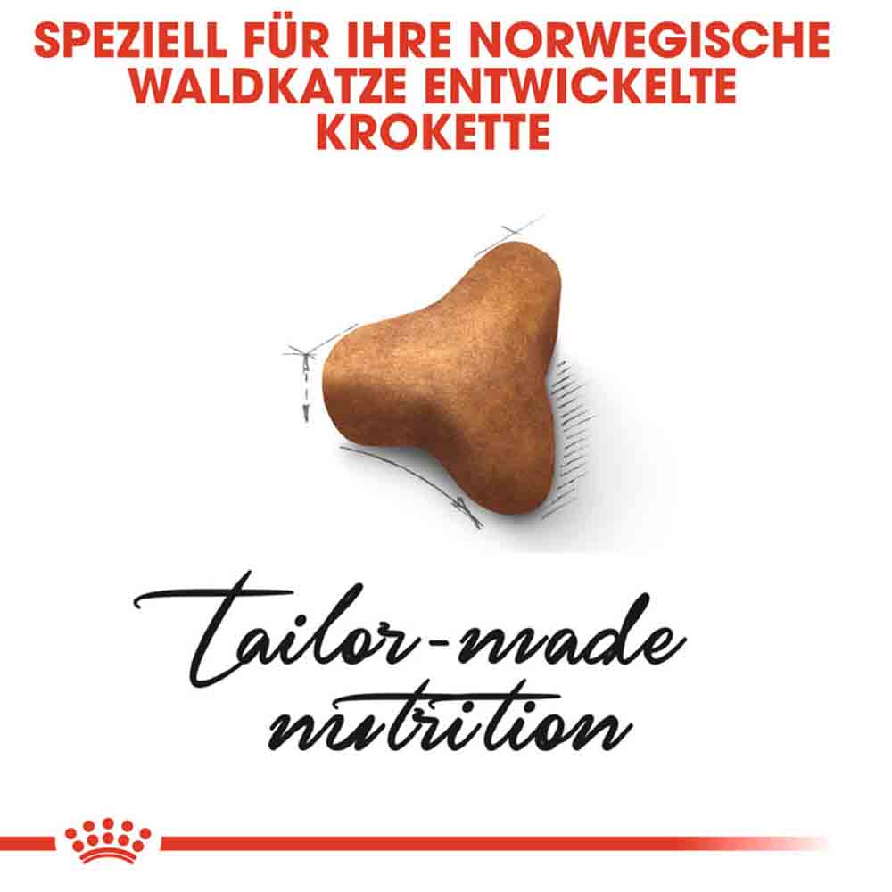 Royal Canin Norwegian Forest Cat Adult Trockenfutter für Norwegische Waldkatzen_4