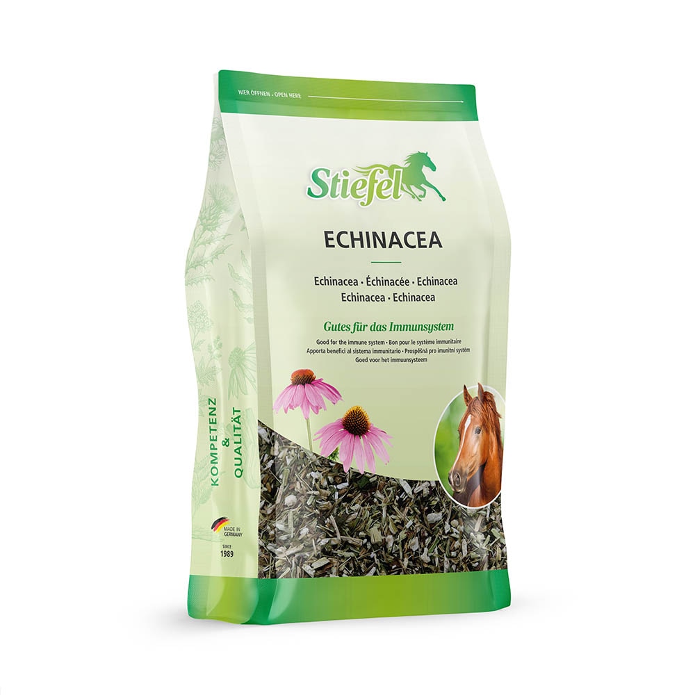 Stiefel Echinacea geschnitten_0