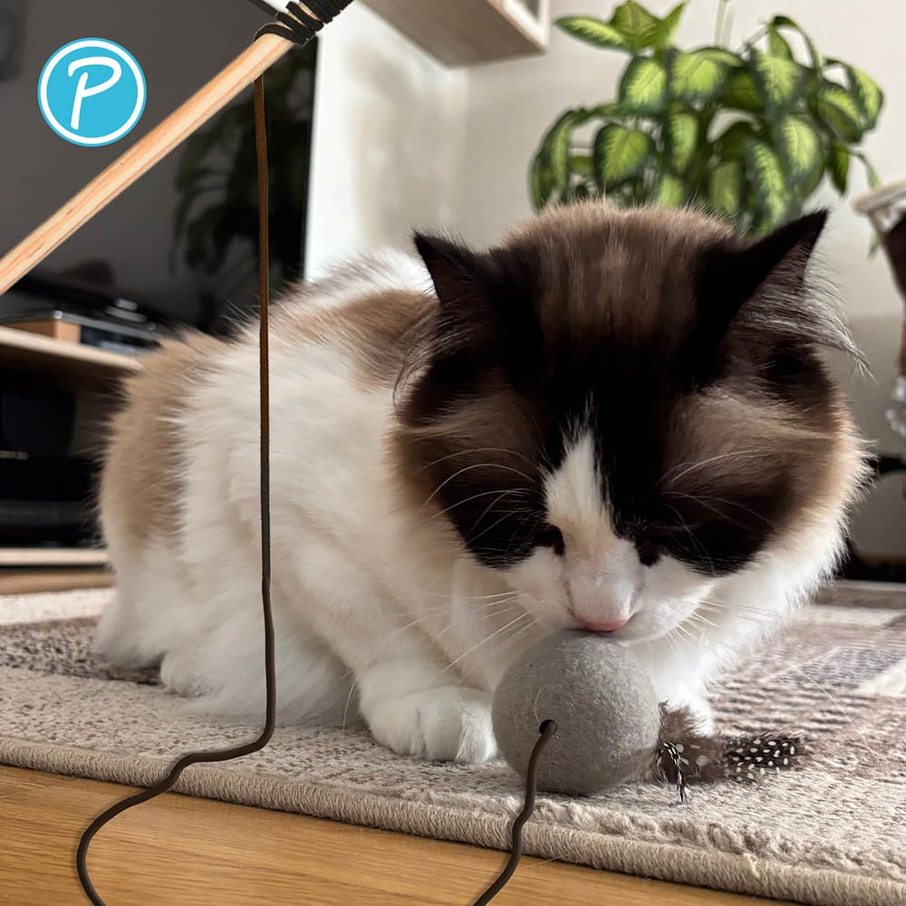 Petlando Katzenangel Filzball_2