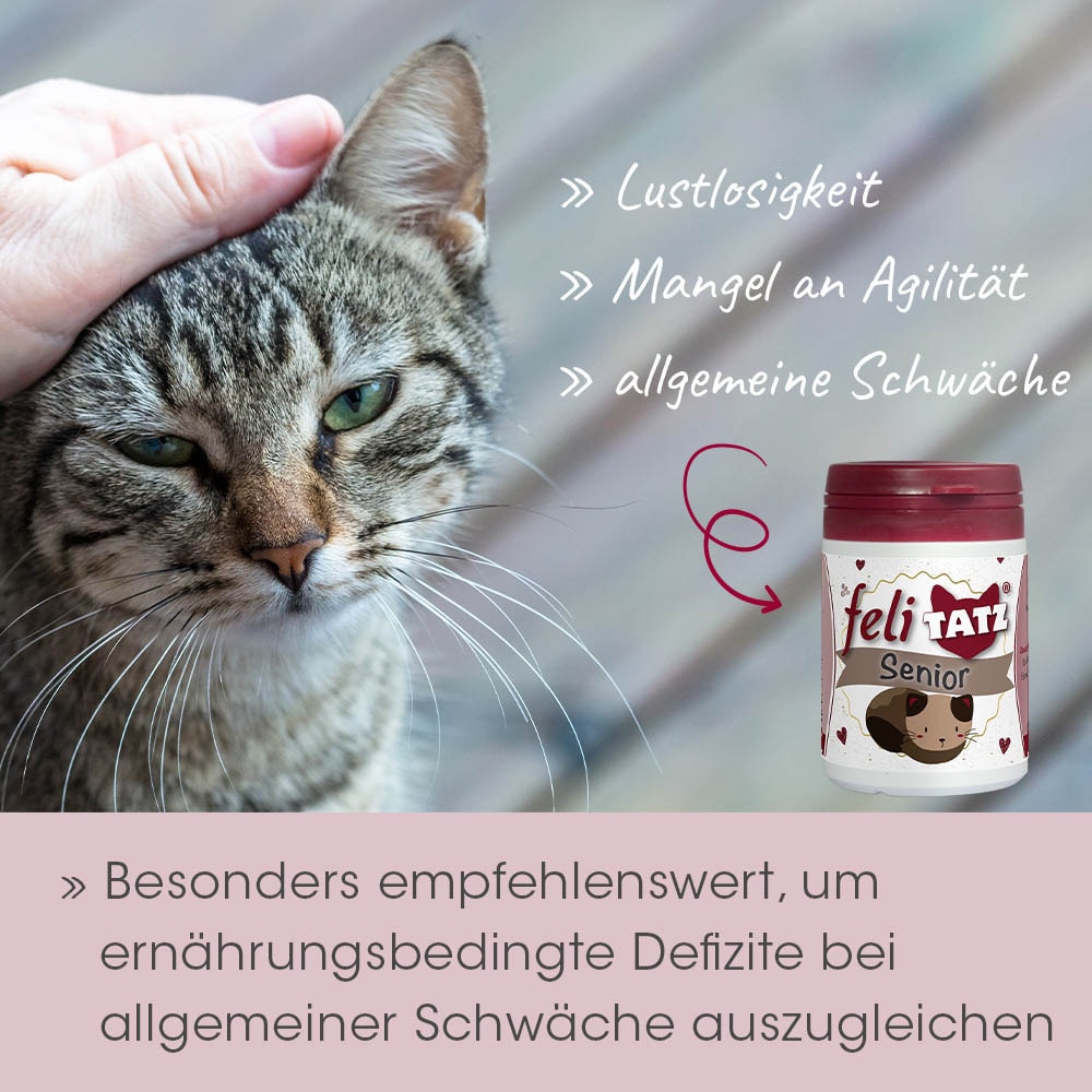 cdVet feliTATZ Senior_3