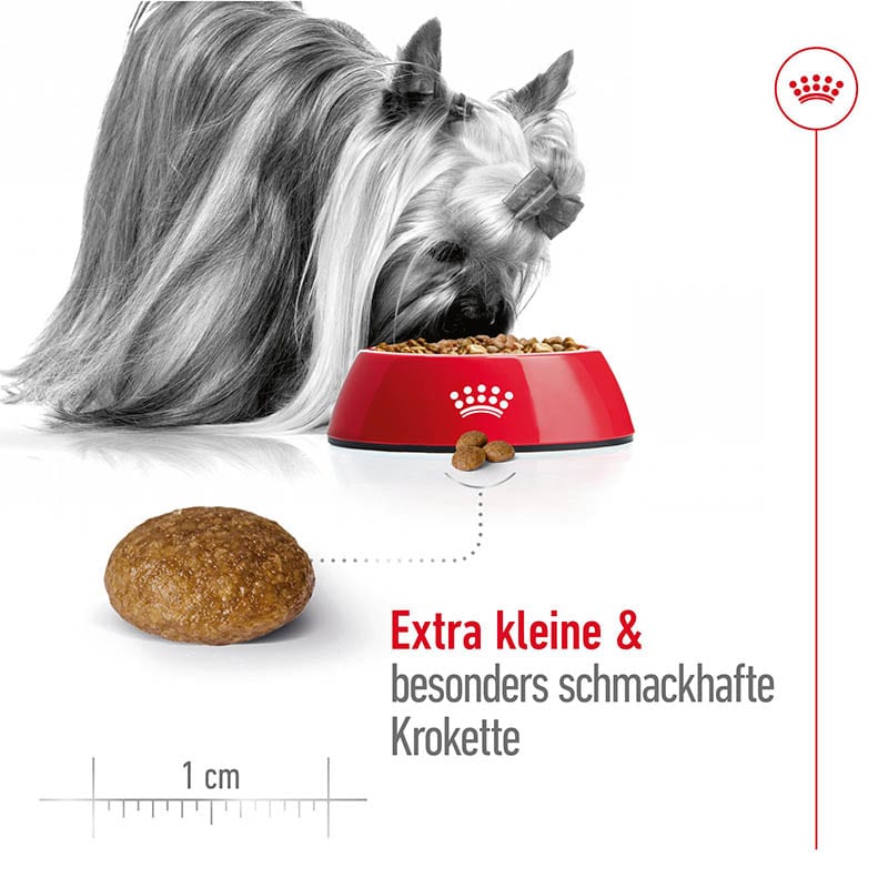 Royal Canin X-Small Adult 8+ Trockenfutter für ältere sehr kleine Hunde_3