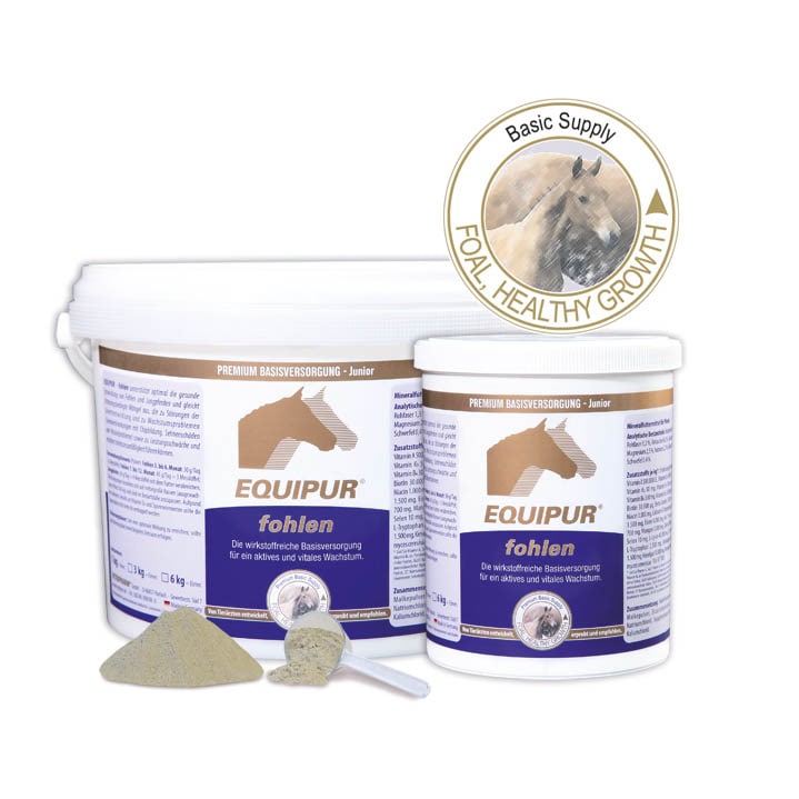 Equipur fohlen_0