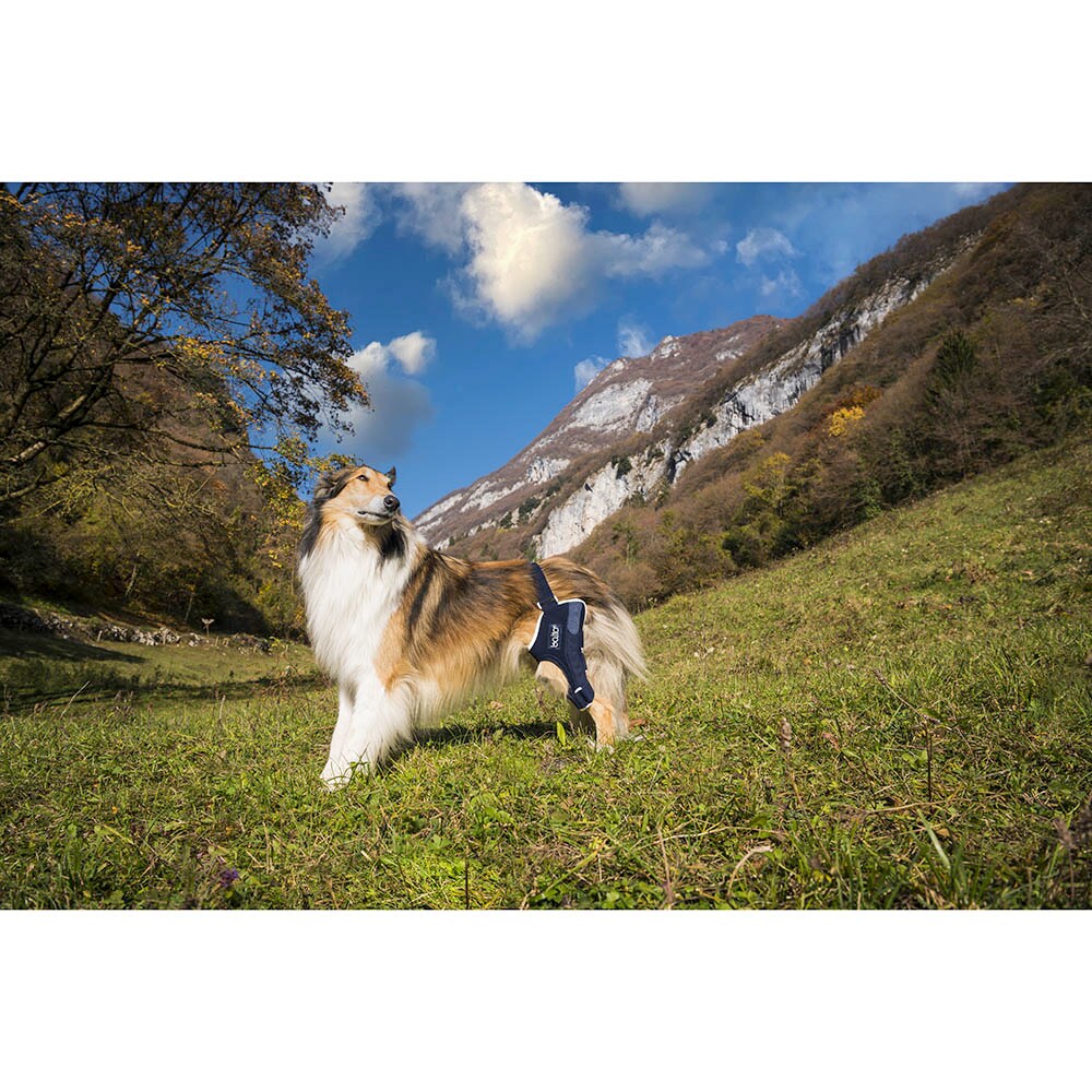 Balto Rehab-Orthese BT Jump links_1