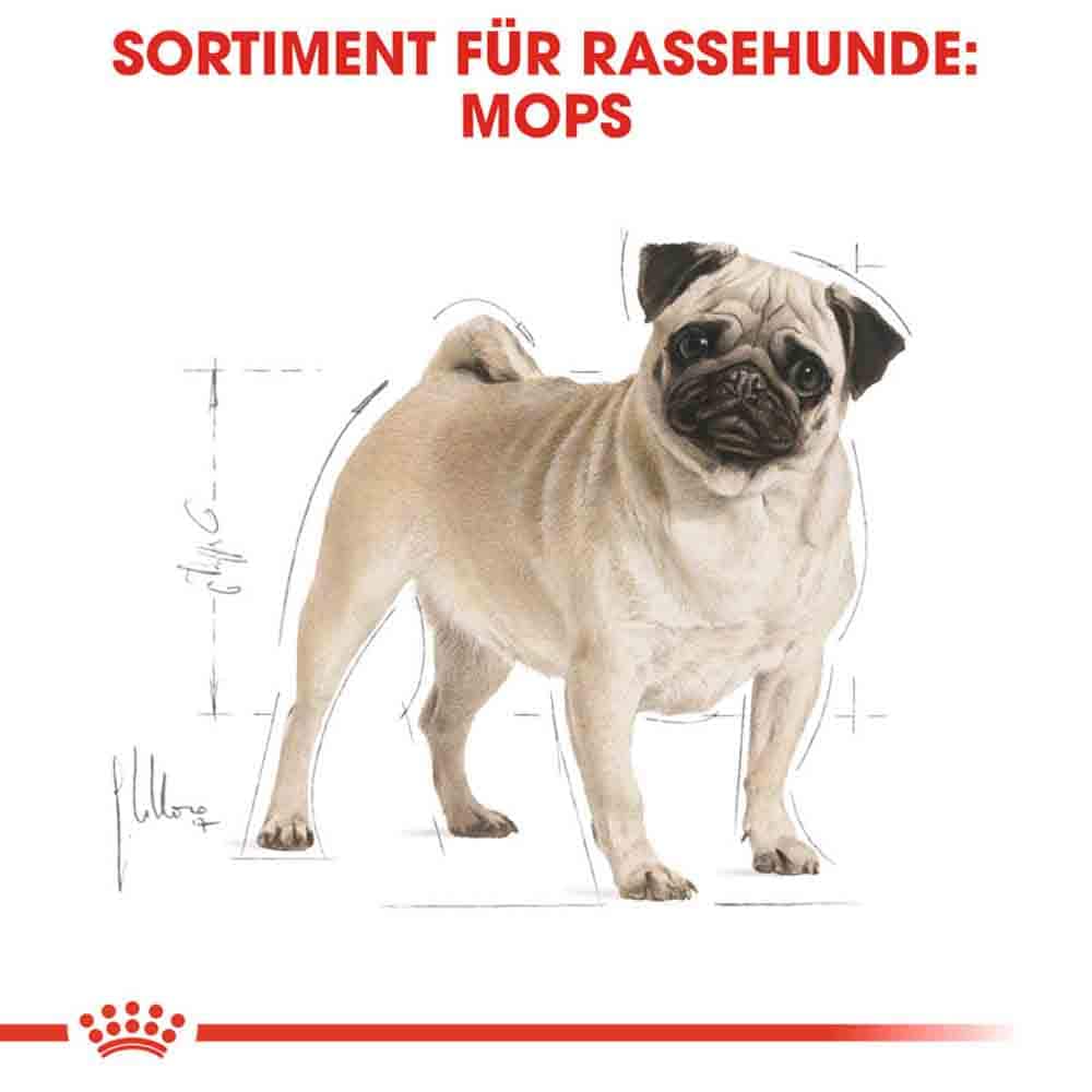 Royal Canin Pug Adult Hundefutter trocken_2