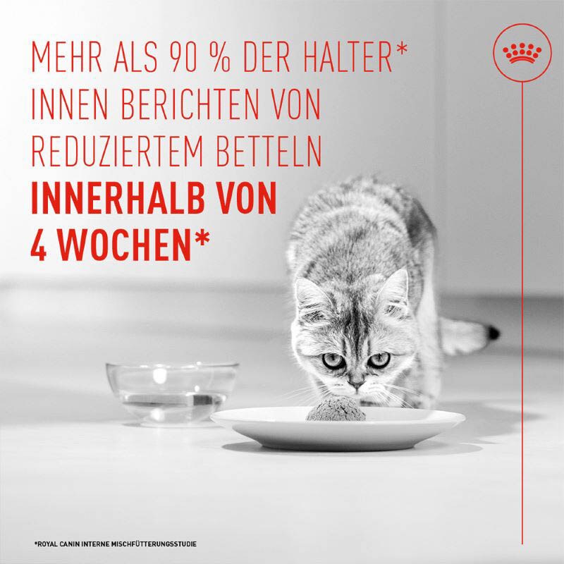 Royal Canin Appetite Control Airlift Mousse Feuchtnahrung für Katzen_4