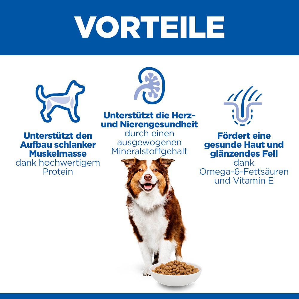 Hills Science Plan Mature Adult 7+ Medium mit Huhn Trockenfutter für Hunde_3