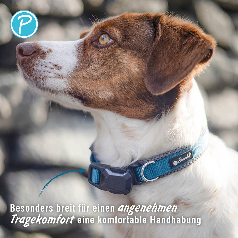 Petlando Magnetech Halsband anthrazit/petrol_3