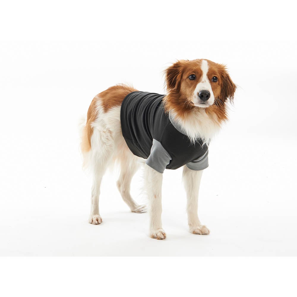 Kruuse Buster Body Suit Classic für Hunde_2