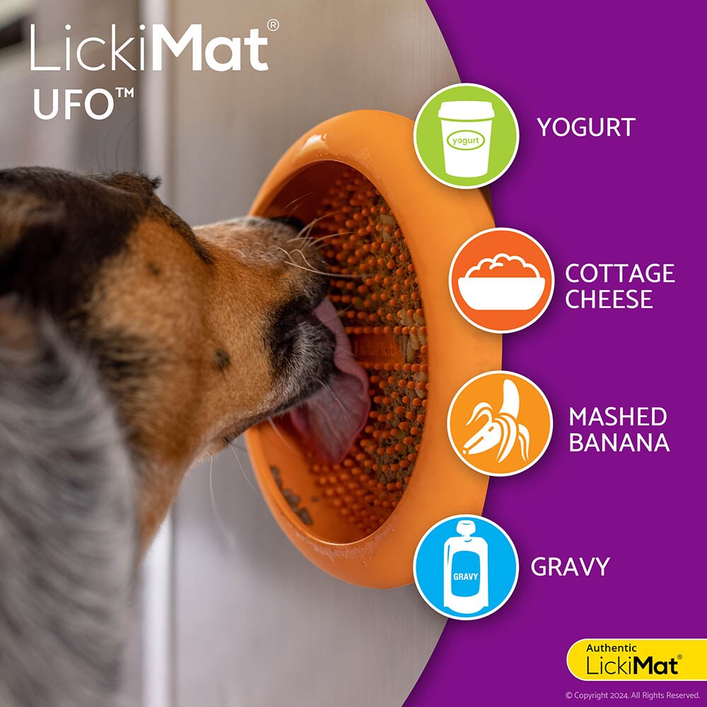 LickiMat UFO_7
