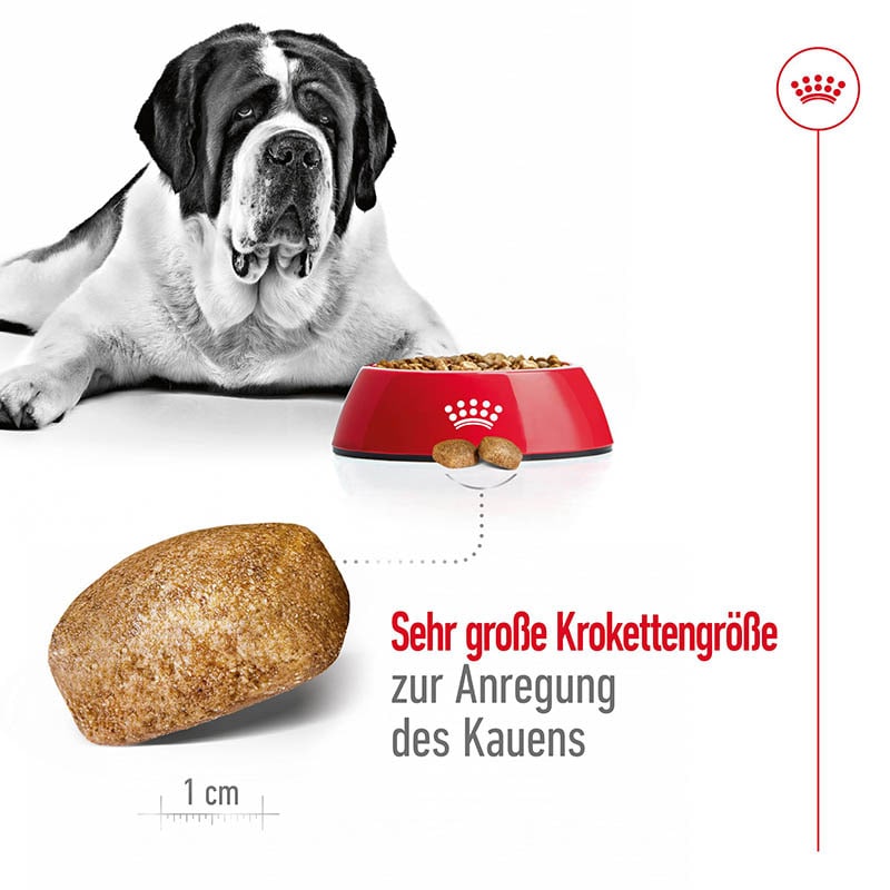 Royal Canin Giant Adult Trockenfutter für sehr große Hunde_2