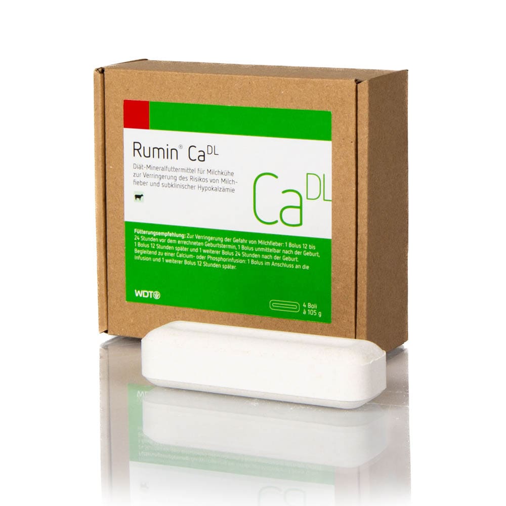 WDT Rumin Ca DL_0