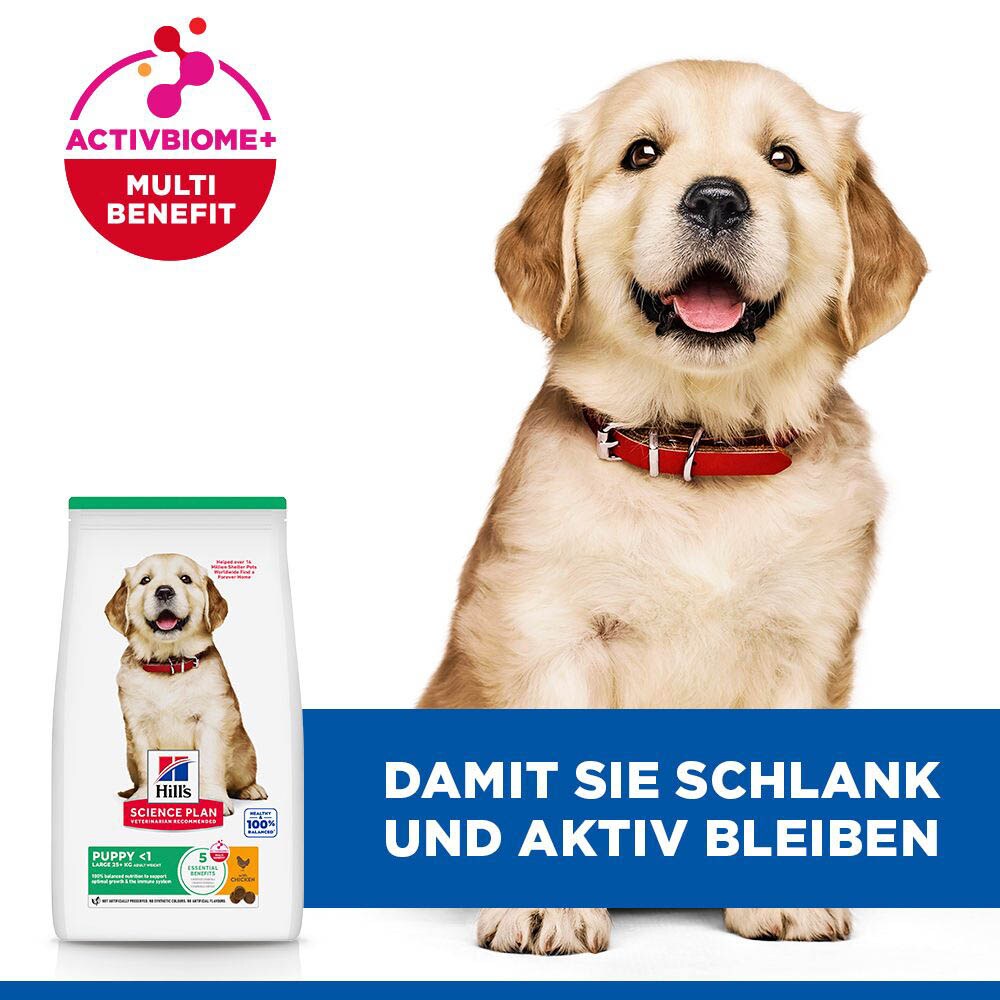 Hills Science Plan Puppy Large Breed mit Huhn Trockenfutter für Hunde_5