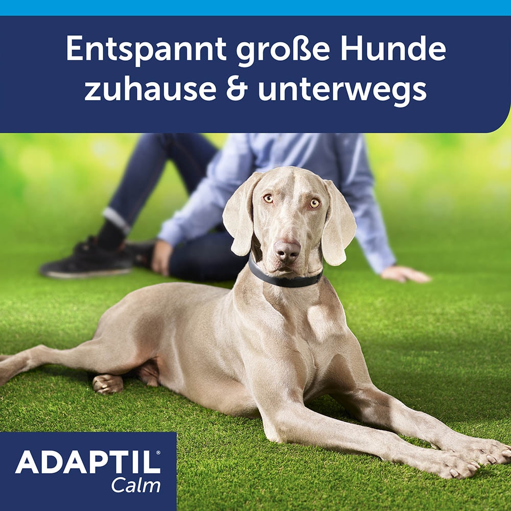 Adaptil Calm Halsband für große Hunde_1