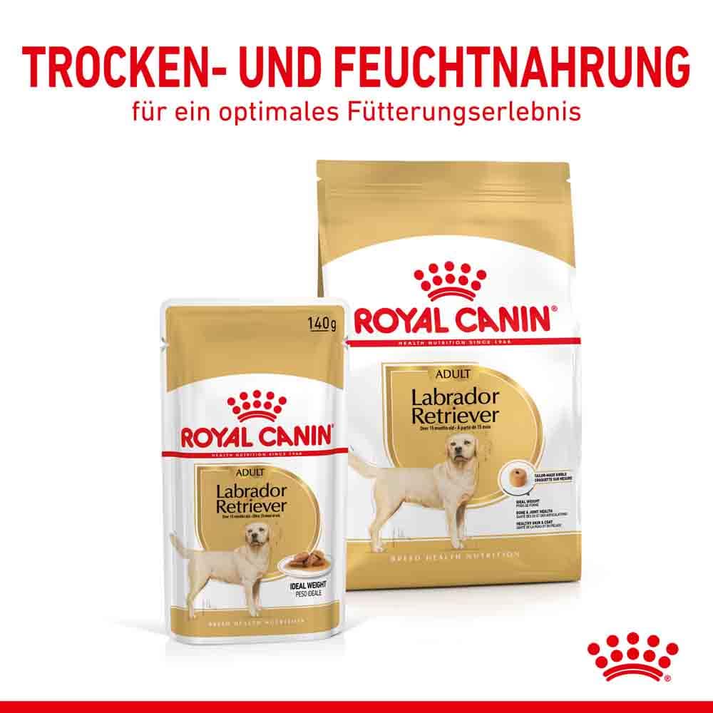 Royal Canin Labrador Retriever Adult Stückchen in Soße _4