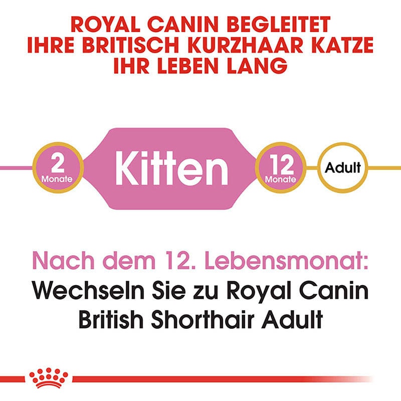 Royal Canin British Shorthair Kittenfutter trocken für BKH Kätzchen _3