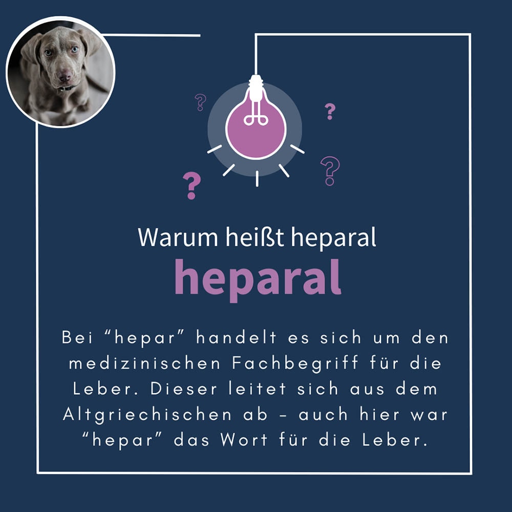 navalis heparal Dog Pulver_6