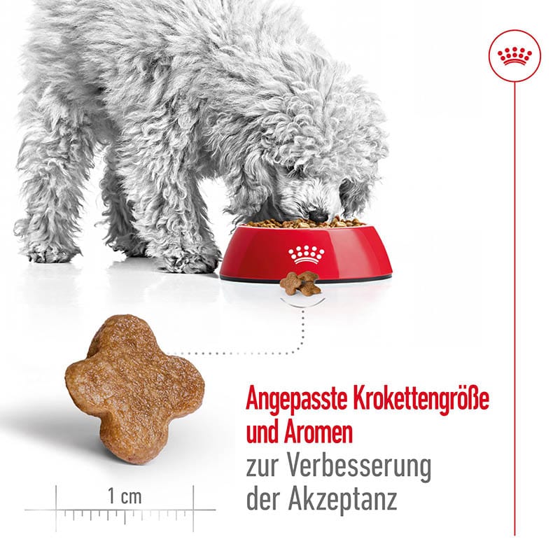 Royal Canin Mini Adult 8+ Trockenfutter für ältere kleine Hunde_3