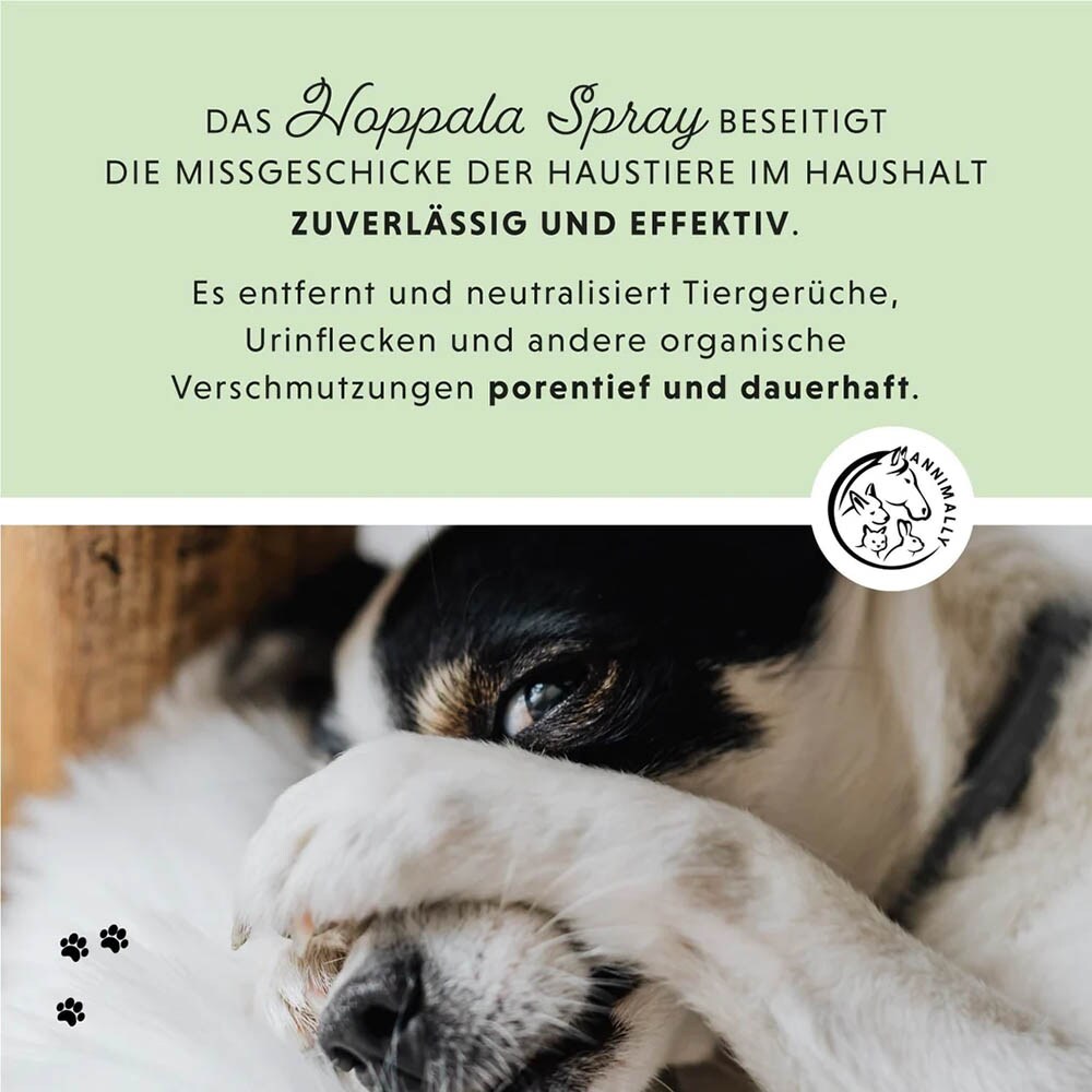 Annimally Hoppala Spray_2