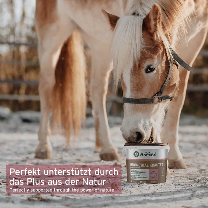 AniForte Bronchial Kräuter_5