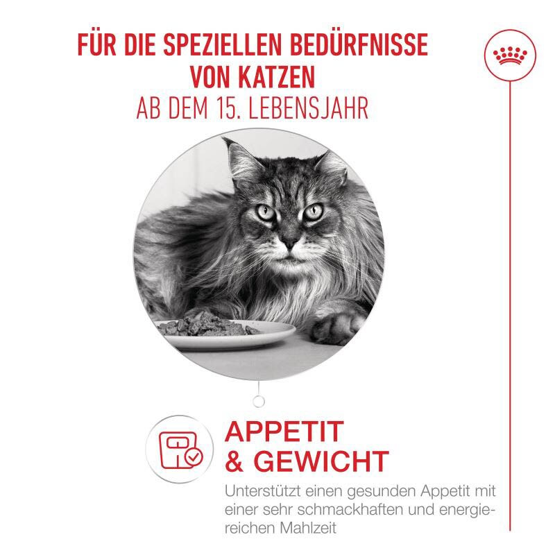 Royal Canin Ageing 15+ Ultra Soft Mousse Feuchtnahrung für Katzen_1