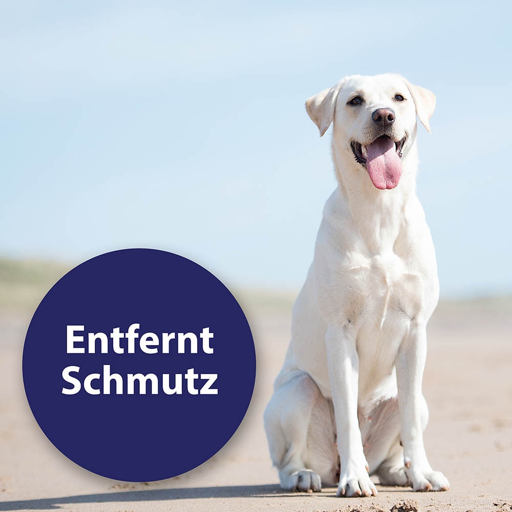 Canosept Ohrreiniger für Hunde_5