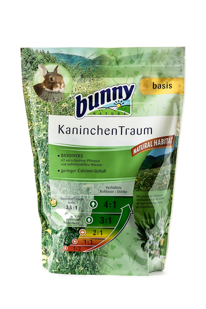 Bunny KaninchenTraum basis_0