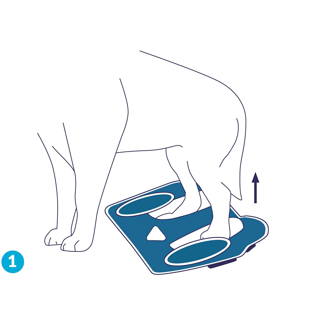 Balto Rehab BT Life_2