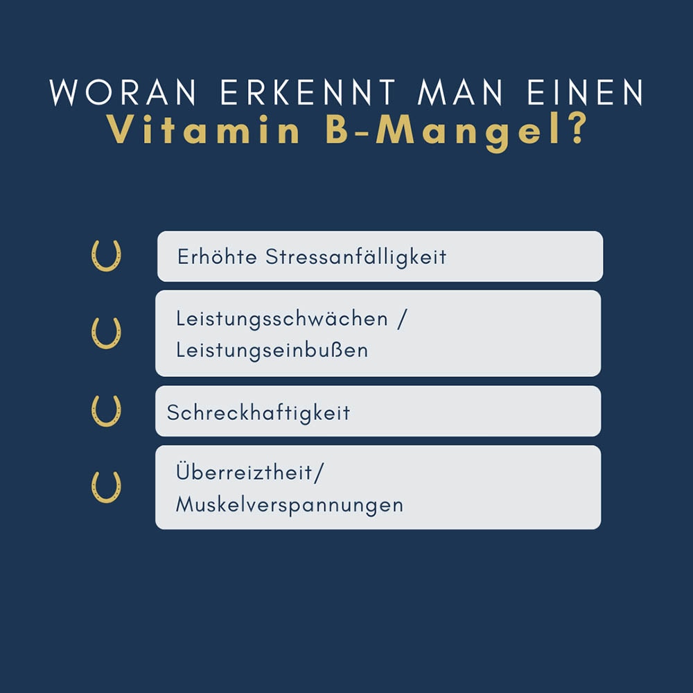 navalis orthosal Vitamin B6 Horse Pulver_3