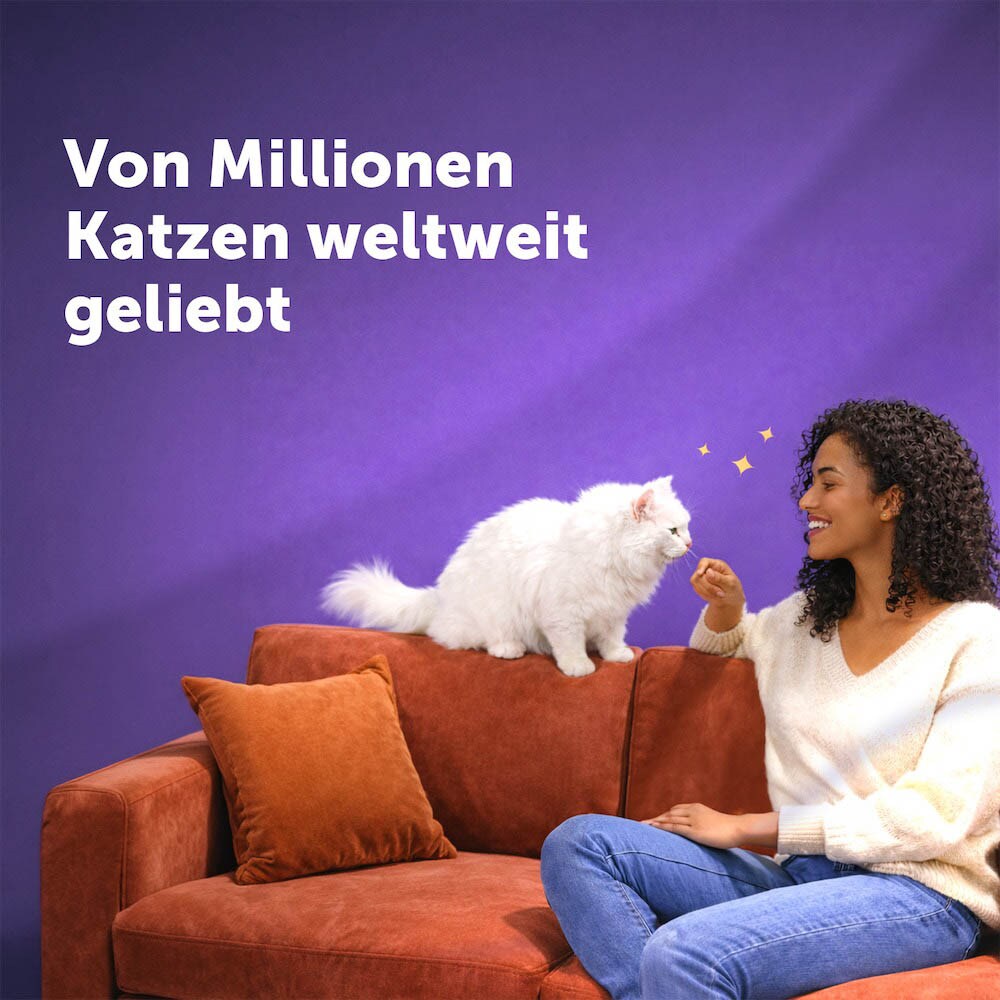 Feliway Happy Snack Rind_5