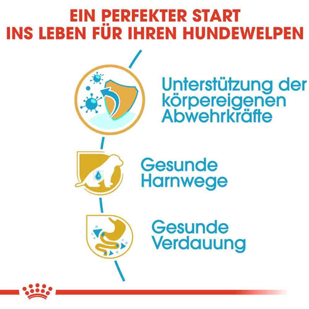 Royal Canin Dalmatian Puppy Welpenfutter_3