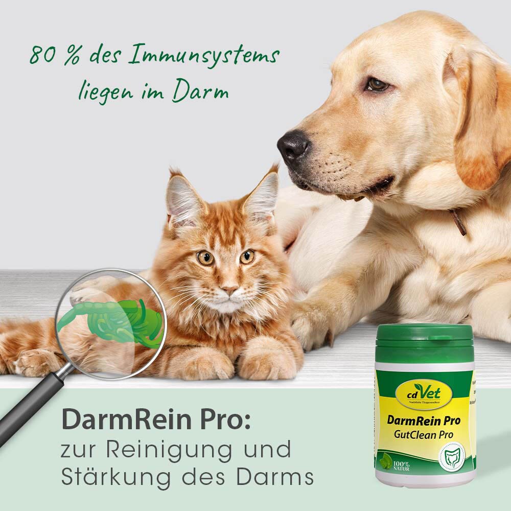 cdVet DarmRein Pro_7
