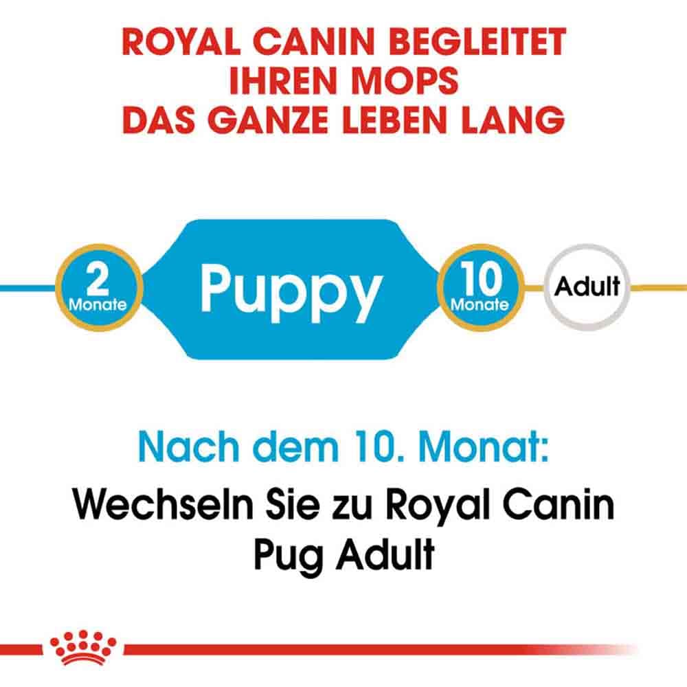 Royal Canin Pug Puppy Welpenfutter trocken_2
